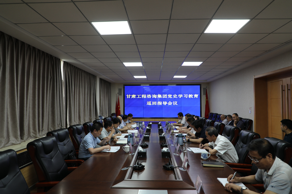 甘肅工程咨詢集團黨史學習教育第四巡回指導組對水電設(shè)計院黨史學習教育工作開展情況進行巡回指導